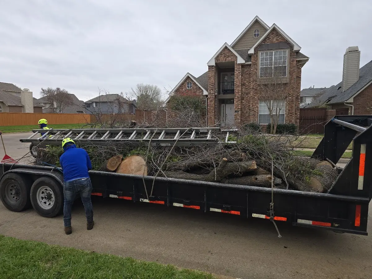 Expert Tree Removal with proper safety equipment in West Farmington
